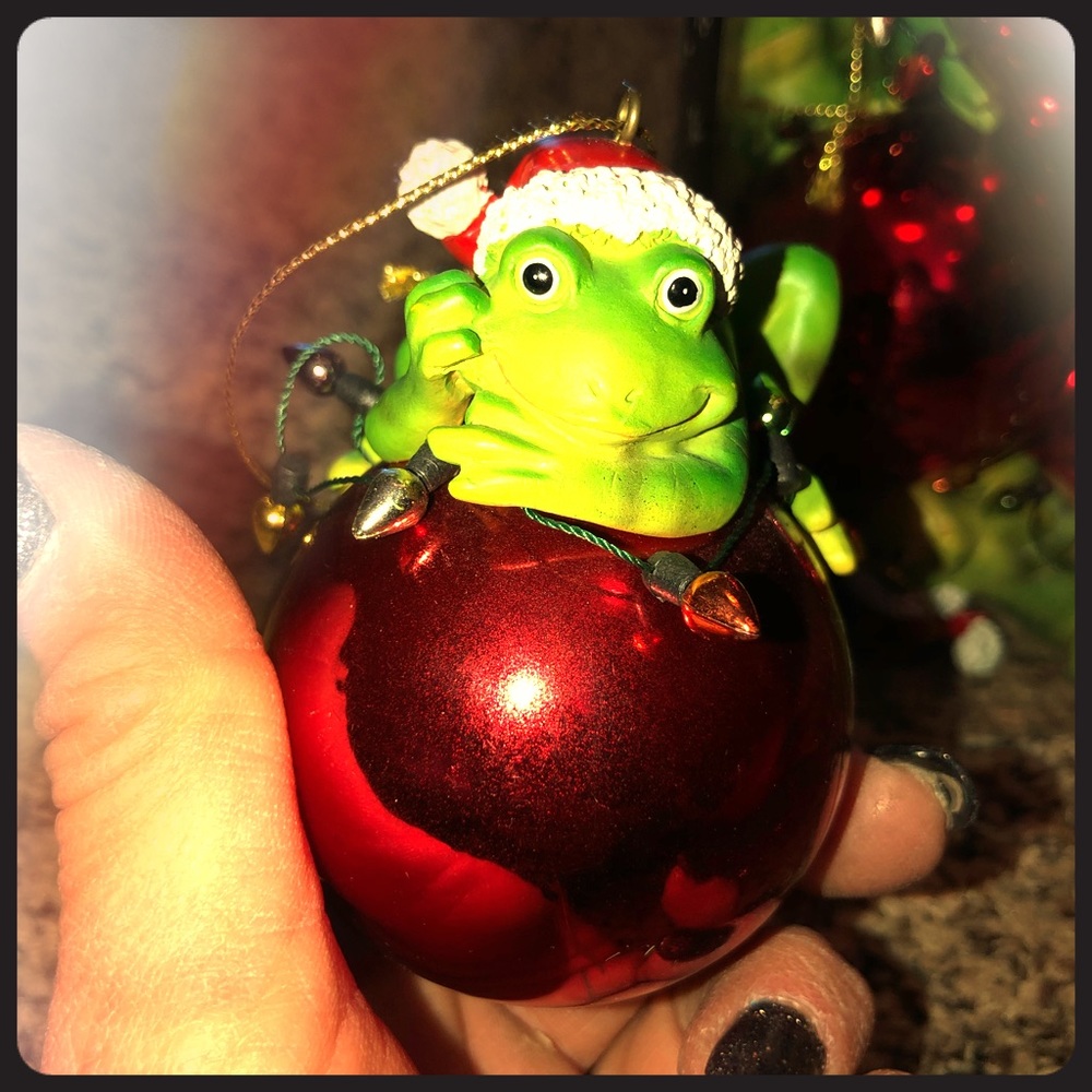Frog bulb ornament set